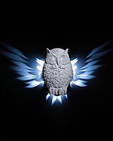 Night Owl Wall LIght