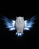 Night Owl Wall LIght