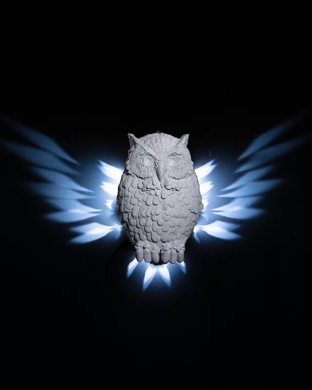 Night Owl Wall LIght