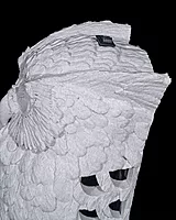Night Owl Wall LIght
