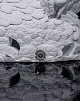 Night Owl Wall LIght