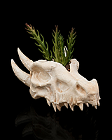 Deathroot - Planter