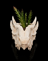 Deathroot - Planter