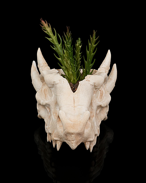Deathroot - Planter