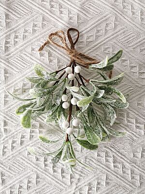 Cozy Comfort Holiday Box