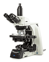 Delphi-X Observer