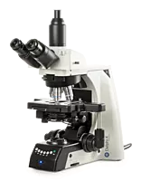 Delphi-X Observer