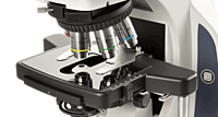 Delphi-X Observer