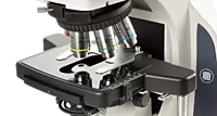 Delphi-X Observer