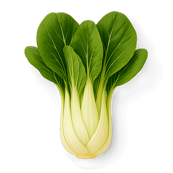 Fresh Pak Choi 30g
