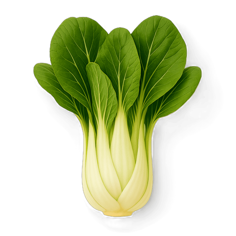 Fresh Pak Choi 30g