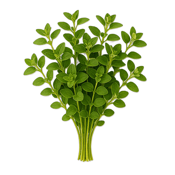 Oregano 30g