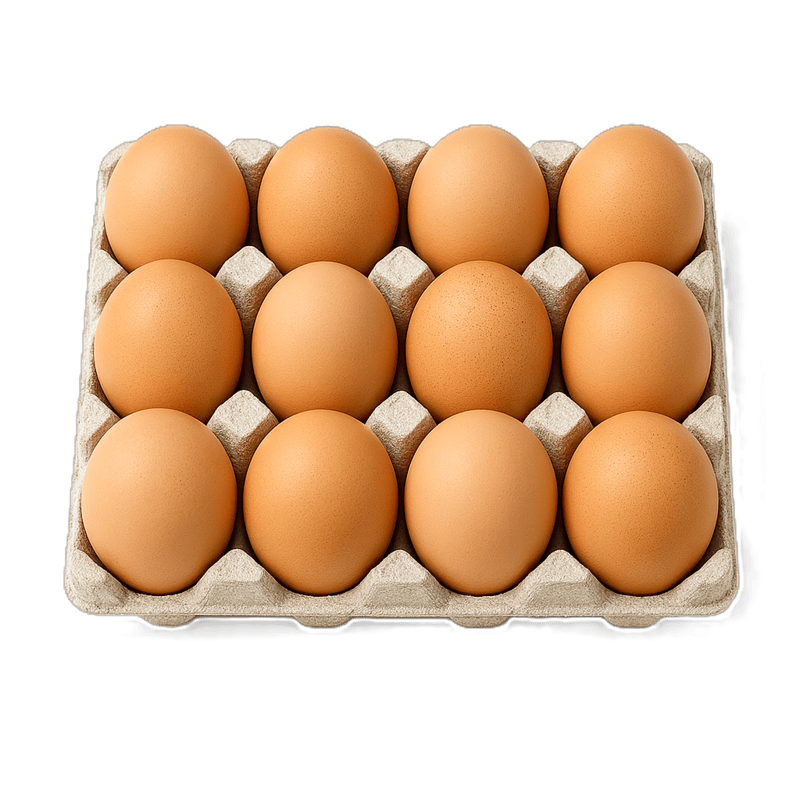 Free Range Eggs 12 Pack
