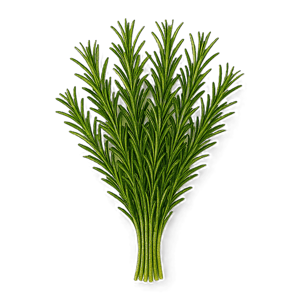 Rosemary 30g