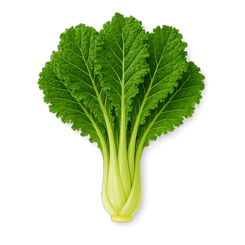 Kale Chou Mollier 350g