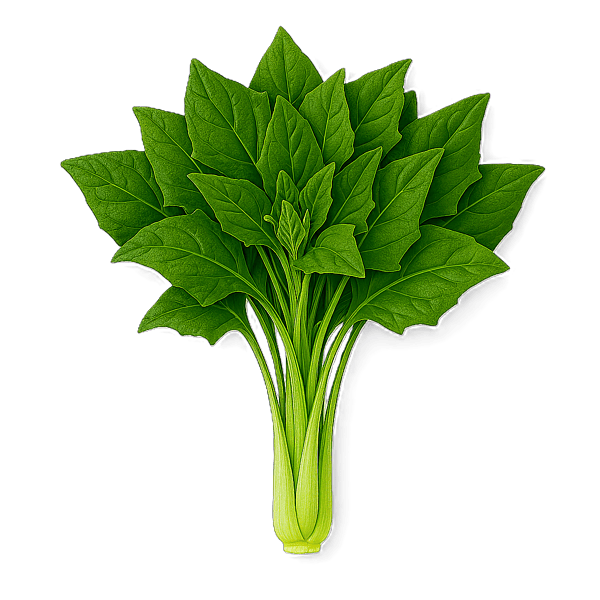 New Zealand Spinach 150g