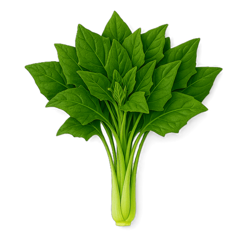 New Zealand Spinach 150g