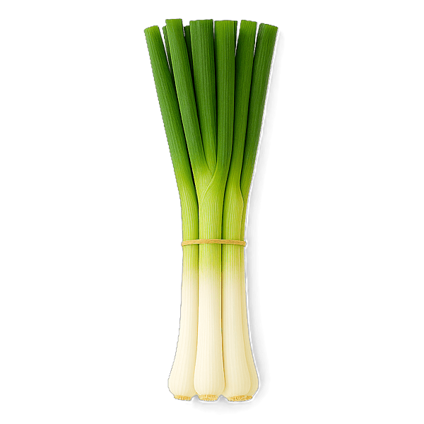 Spring Onion 350grams