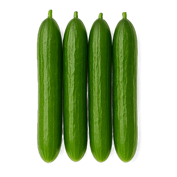 Cucumber