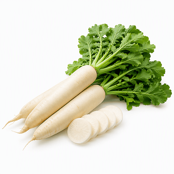 Daikon Radish