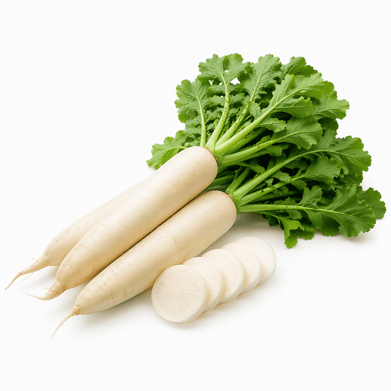 Daikon Radish