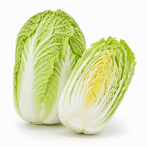 Chinese Cabbage