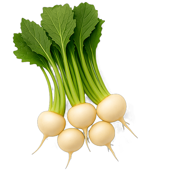 Baby Turnips 250g