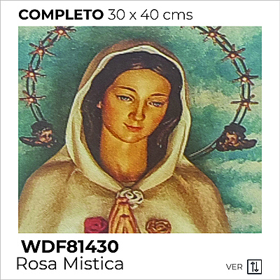 Kit Dibujo Diamante 81430 Rosa Mistica Unidad