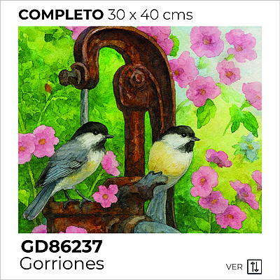 Kit Dibujo Diamante GD86237 Gorriones Unidad