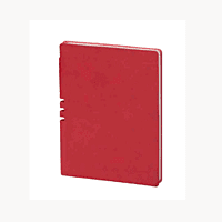 Red Diary BB10