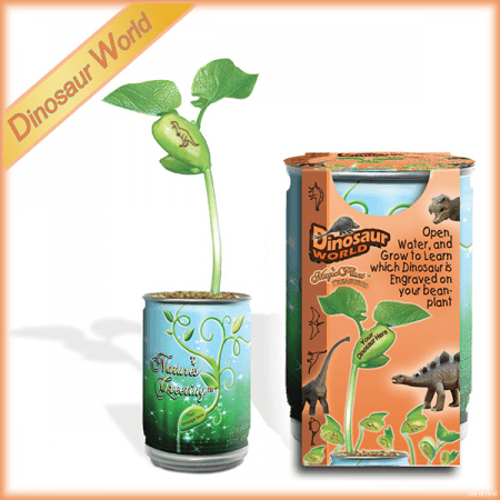 Magic Plant Treasures Dinosaurs World Growing Kit