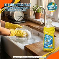 Dishwashing Liquid Lemon Caribbean Clean 300ml 1/25