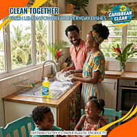 Dishwashing Liquid Lemon Caribbean Clean 300ml 1/25