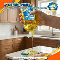Dishwashing Liquid Lemon Caribbean Clean 300ml 1/25