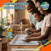 Dishwashing Liquid Lemon Caribbean Clean 300ml 1/25
