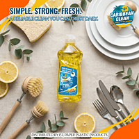 Dishwashing Liquid Lemon Caribbean Clean 300ml 1/25