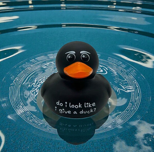 Rubber Duck- Do I Look Like I Give a Duck