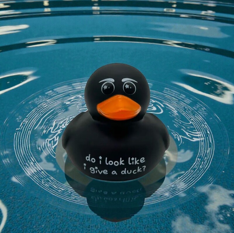 Rubber Duck- Do I Look Like I Give a Duck