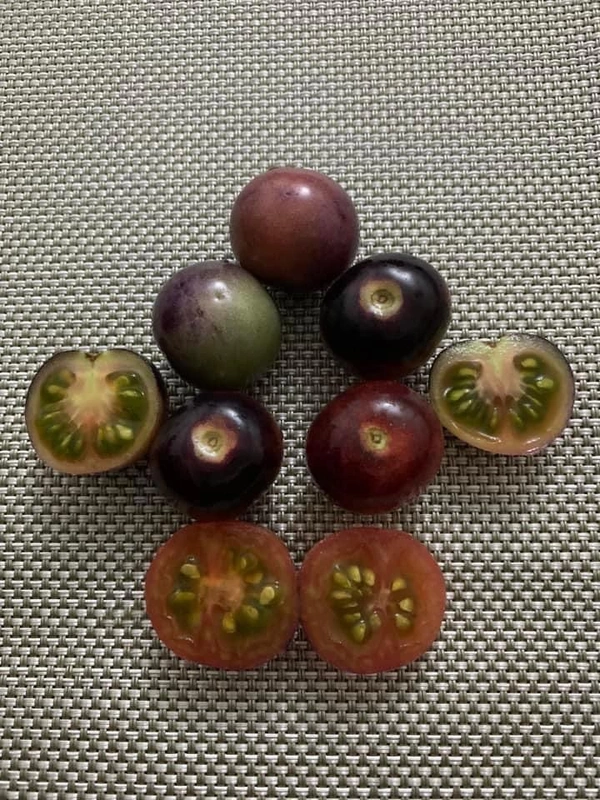 Pink Black Tomotto | பிங்க் கருப்பு தக்காளி
