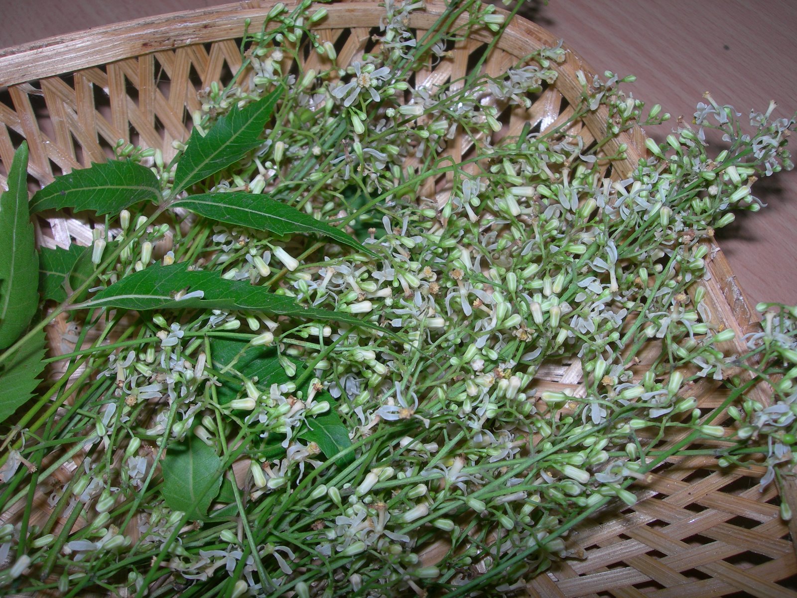 Neem flower 250 G | வேப்பம் பூ 250 G
