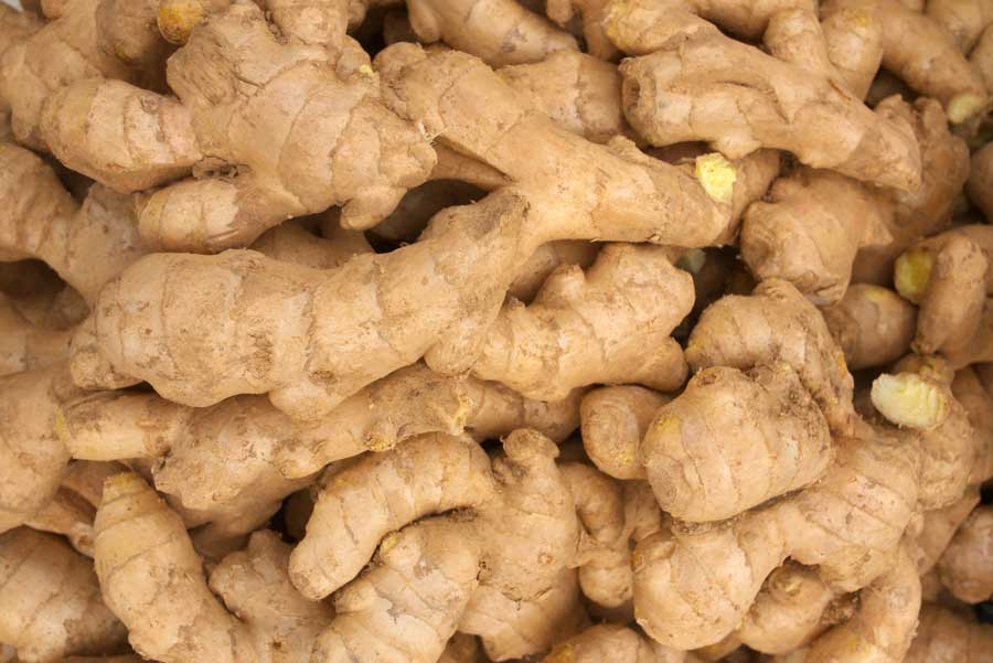 Ginger Seed |  Kolli Hills Variety 100 G