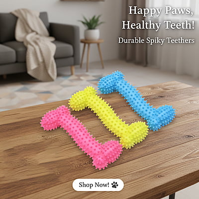 Dog Teether Regular Small