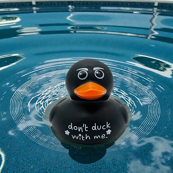 Rubber Duck- Don’t Duck With Me