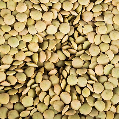 Dry Lentils- 1 pound