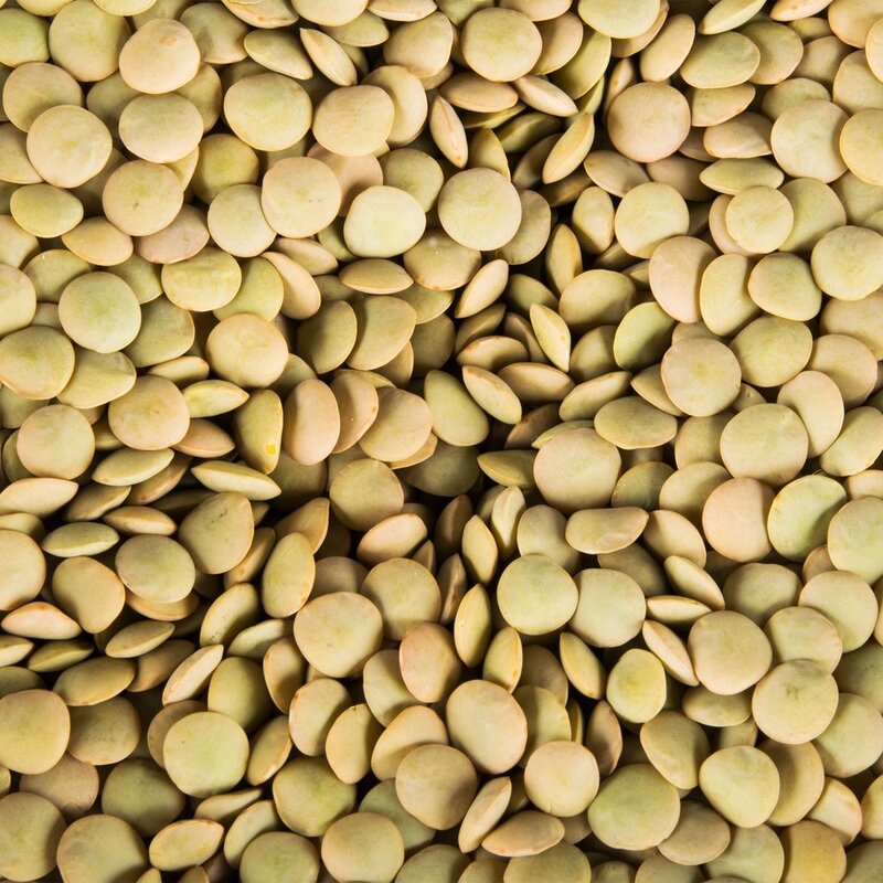 Dry Lentils- 1 pound