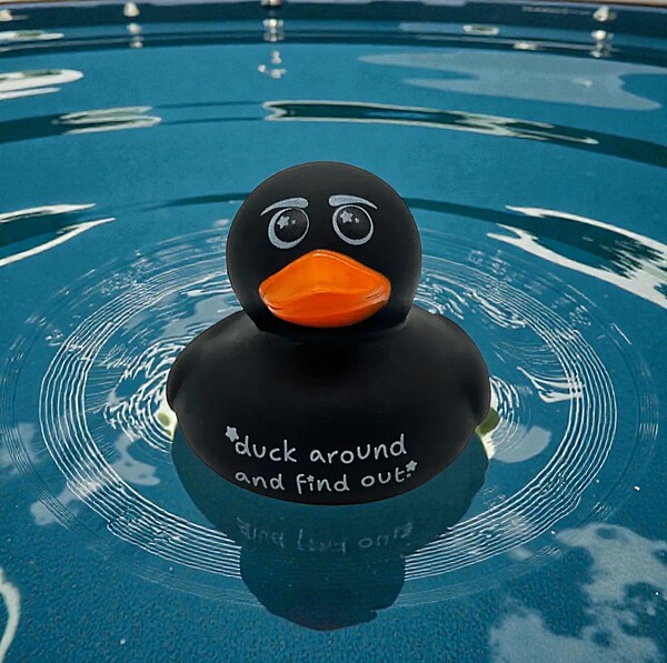 Rubber Duck- Duck Around and Find Out