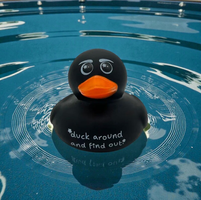 Rubber Duck- Duck Around and Find Out