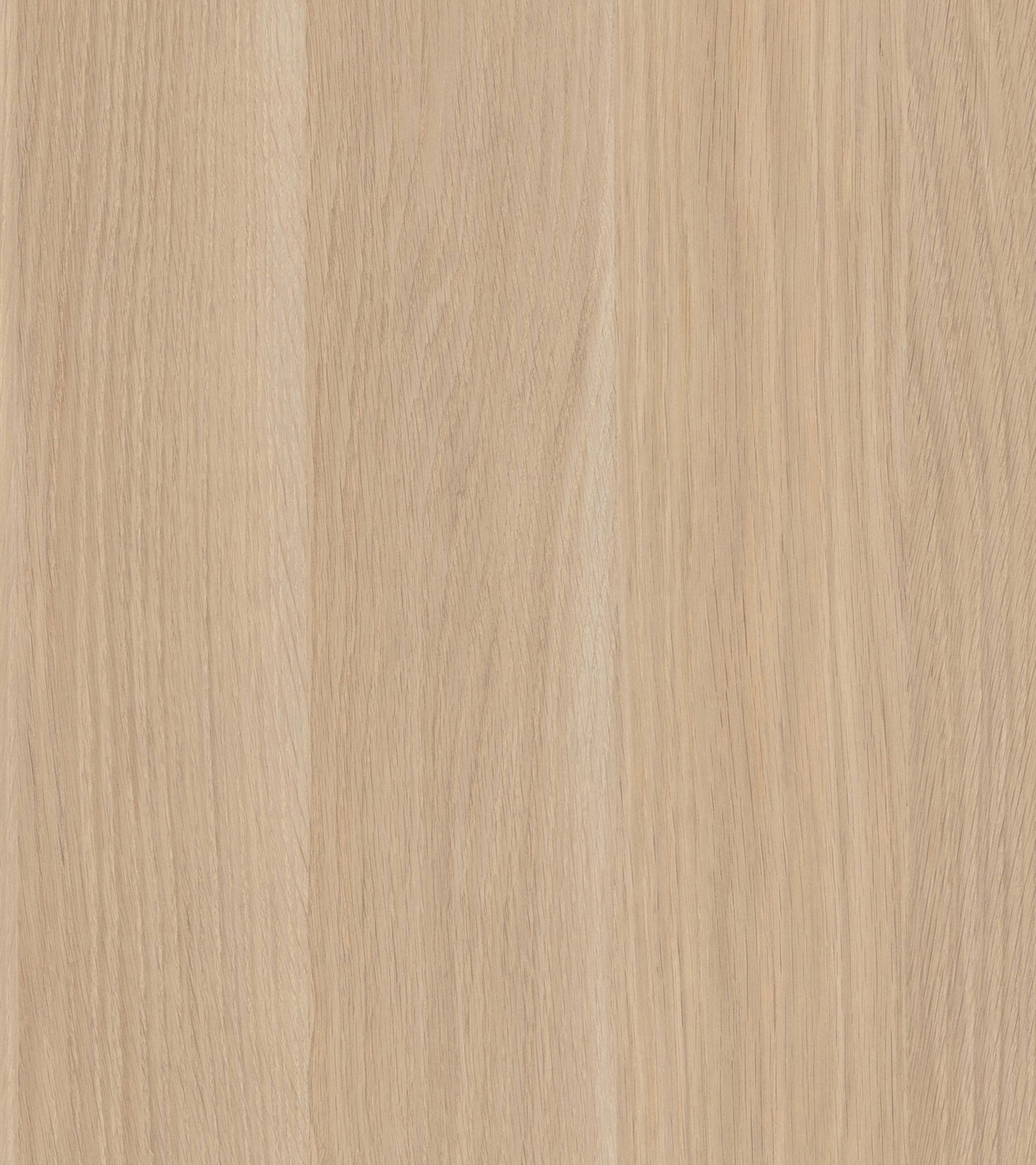 WHITE OAK LUNILIANA 2 SIDE