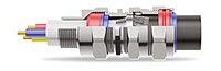 Explosion proof - Double Compression Cable Gland [B2]