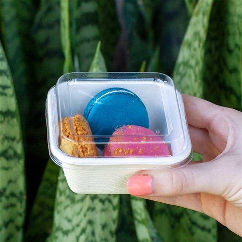 Lid Square PET To Suit Natural Fibre 250ml Containers Clear Ctn 500